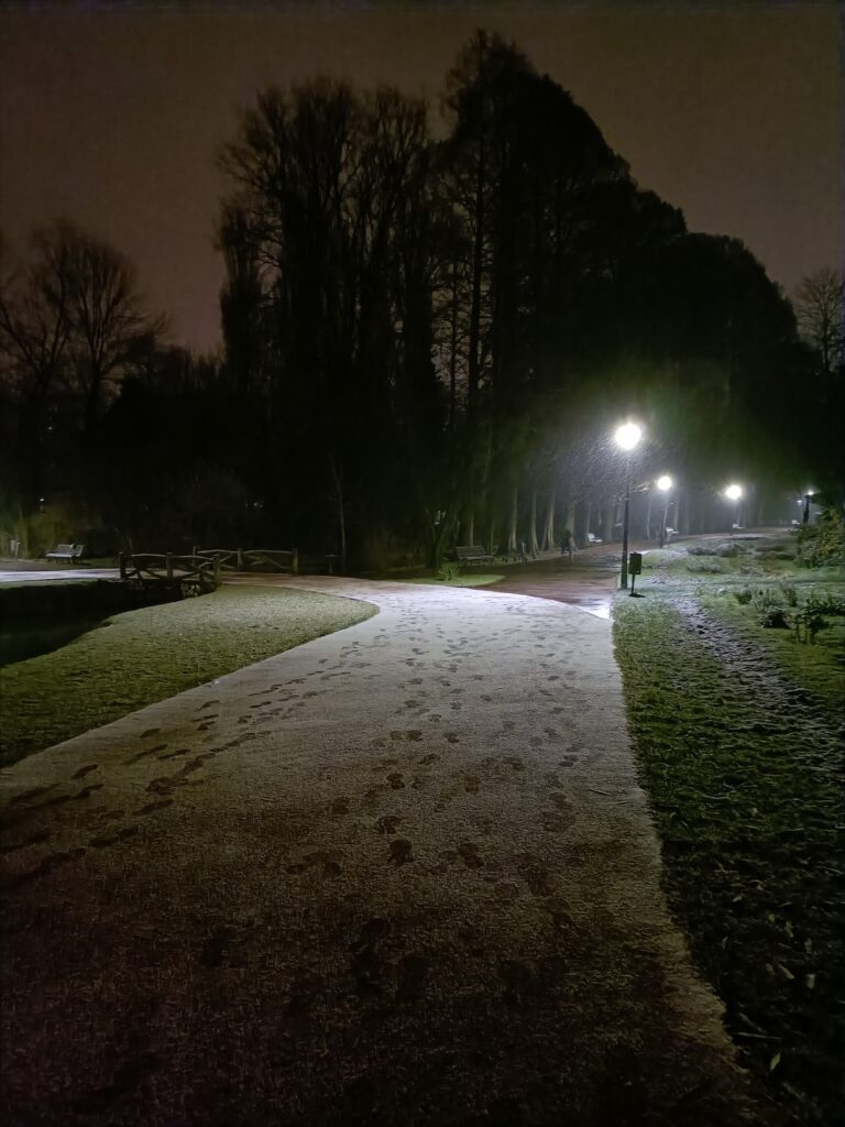 Local park during night in winter